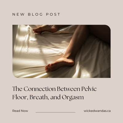 Le lien entre le plancher pelvien, la respiration et l'orgasme