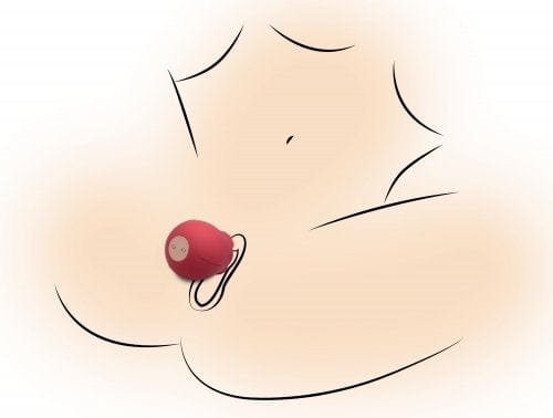 Bloomgasm - Wild Rose Red Silicone Suction Clit Stimulator