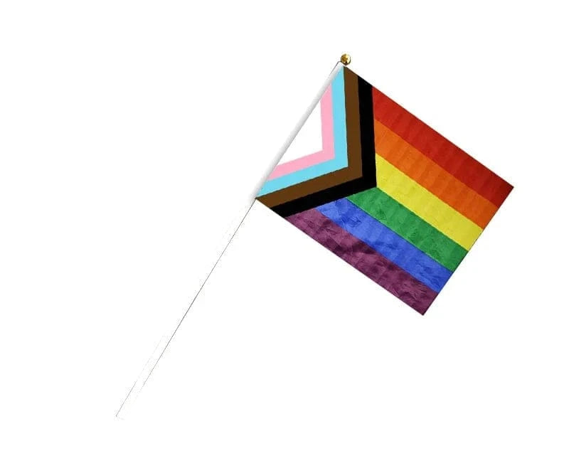 Daniel Quasar Progress Pride Hand Flags
