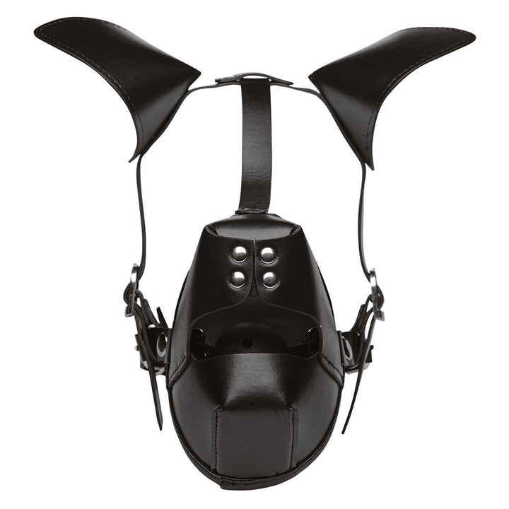 Pup Puppy Play Hood and Breathable Ball Gag