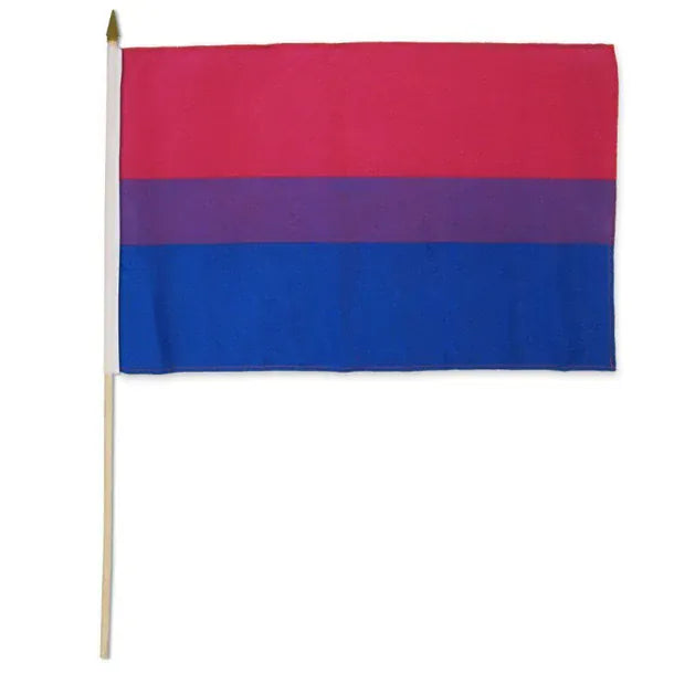 Pride Stick Flags 12"x18" -  (Assorted)