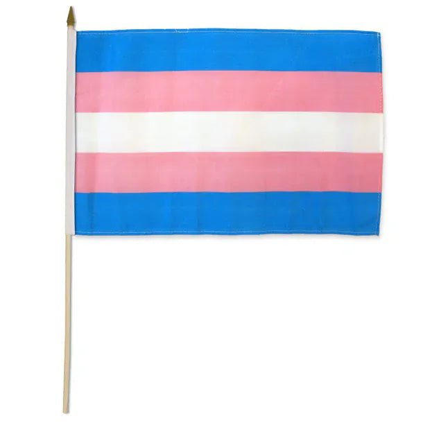 Pride Stick Flags 12"x18" -  (Assorted)