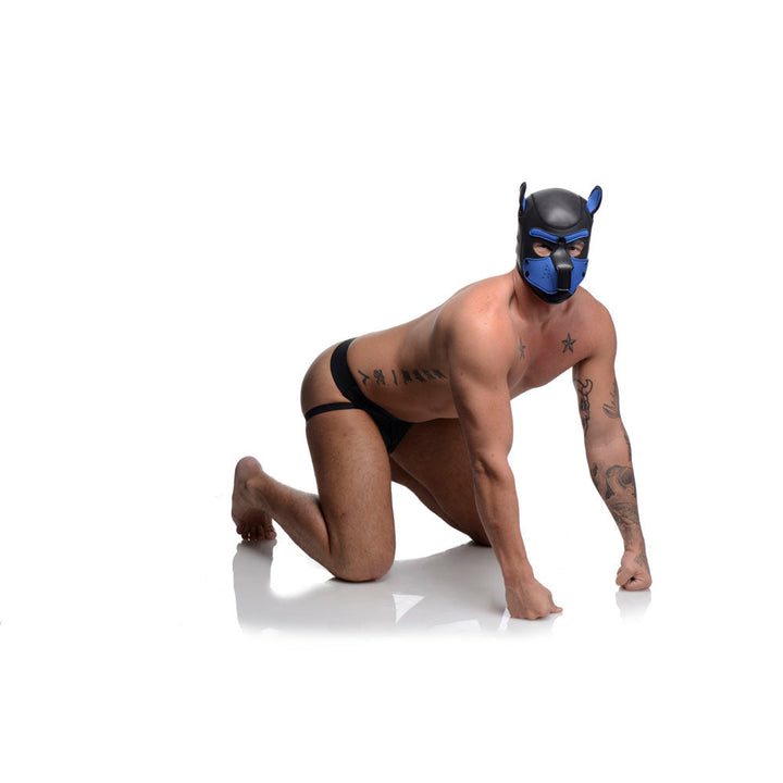 Spike Neoprene Puppy Hood - Blue