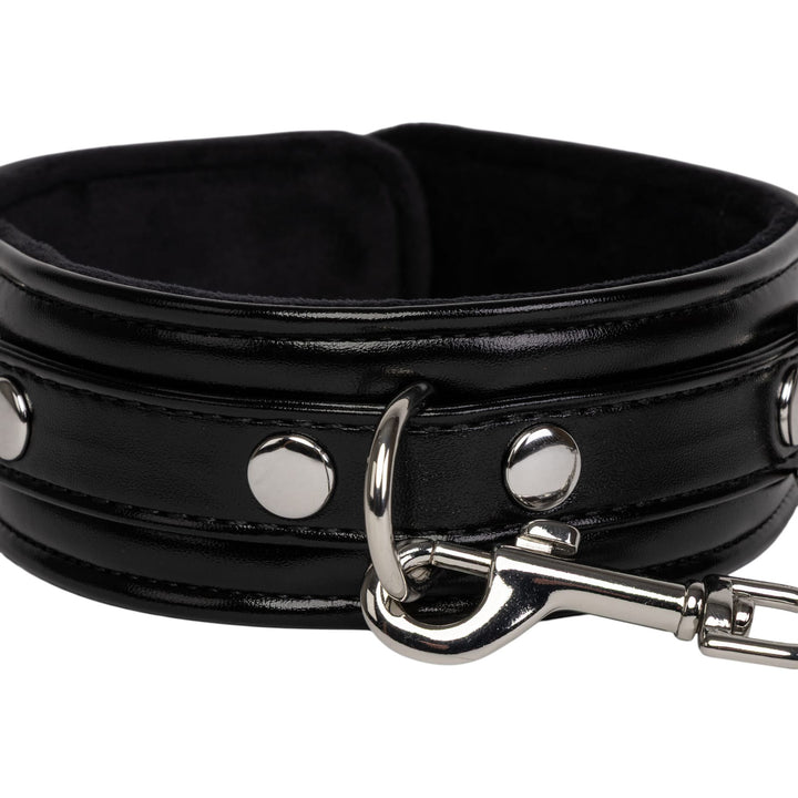 Miss Morgane - Collar & Chain Leash