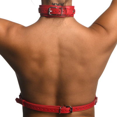 XR Brands Strict Red Female Chest Harness in M/L