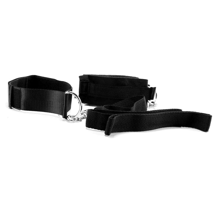 Electric Eel Collar Cuffs and Leash Set