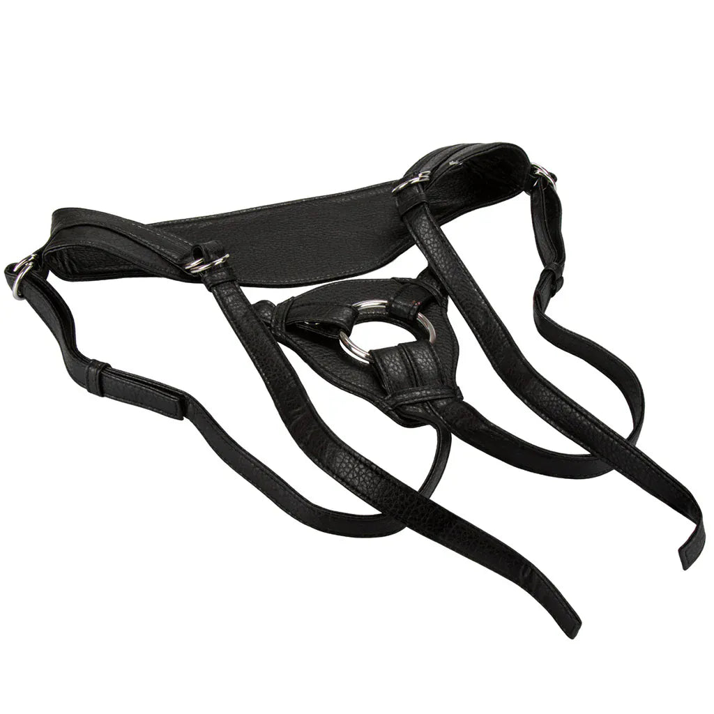 The Queen Her Royal Harness