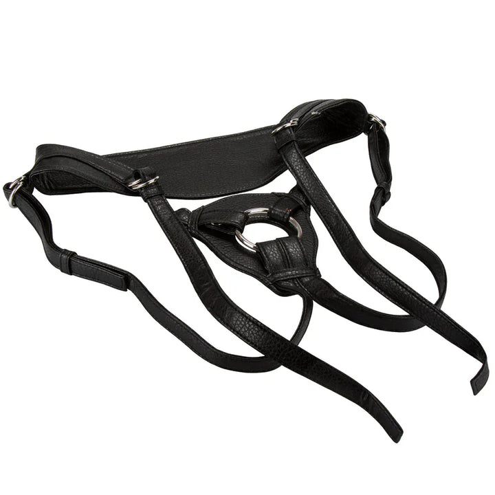 The Queen Her Royal Harness