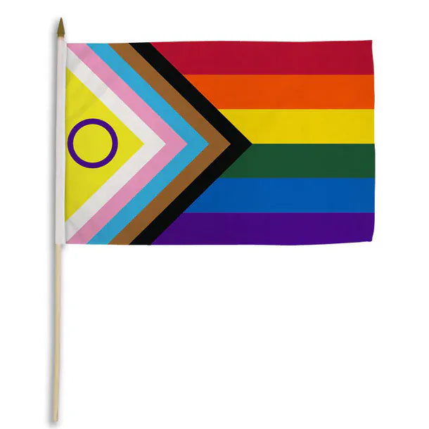 Pride Stick Flags 12"x18" -  (Assorted)