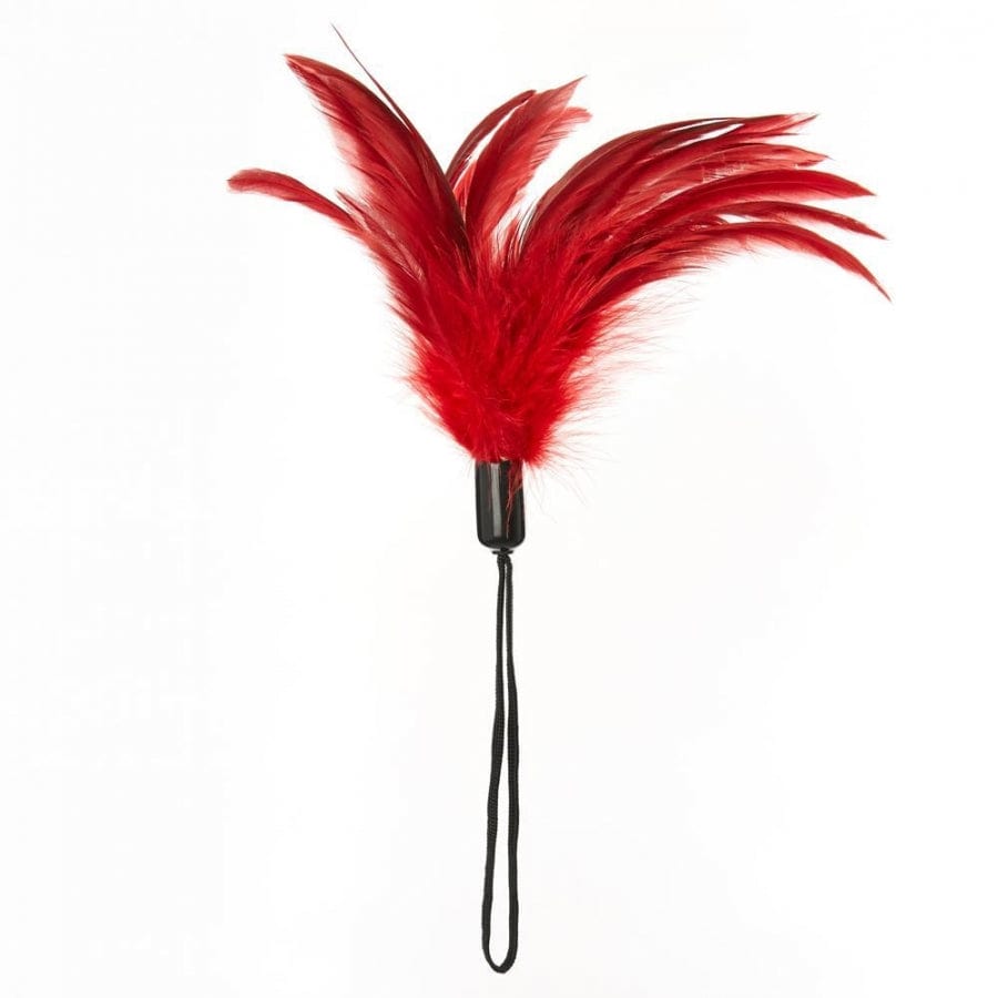 Feuilles de sport - Pleasure Feather