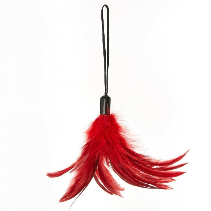 Feuilles de sport - Pleasure Feather