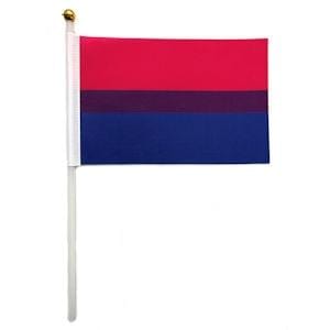 Gay pride Products - Bisexual Hand Flag - Wicked Wanda's Inc.