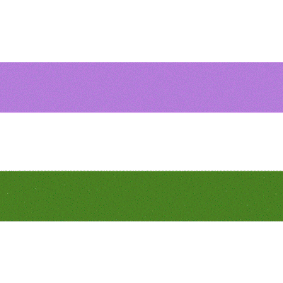 Pride and Genderqueer Flags - Wicked Wanda's Inc.