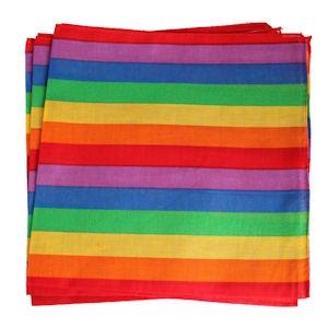 Gay Pride Products Gay Pride Bandana - Wicked Wanda's Inc.