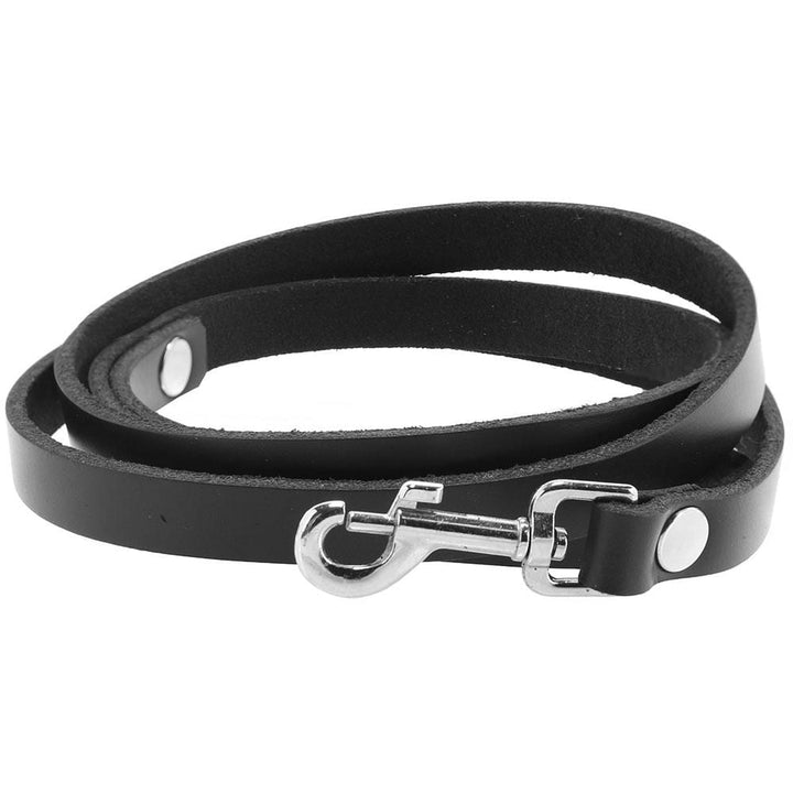 Spartacus 4' Leather Leash