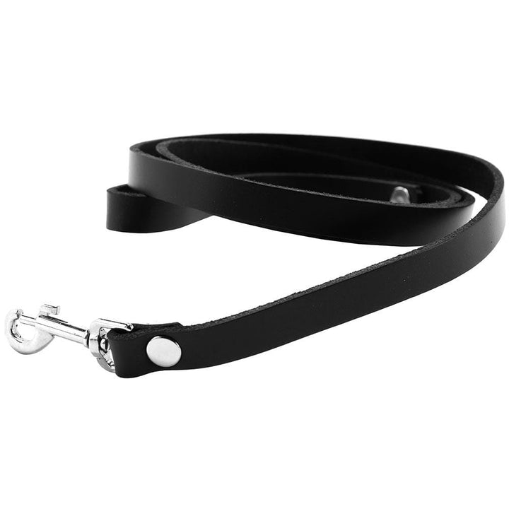 Spartacus 4' Leather Leash