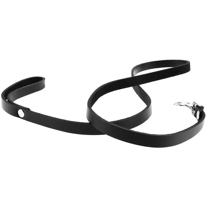 Spartacus 4' Leather Leash