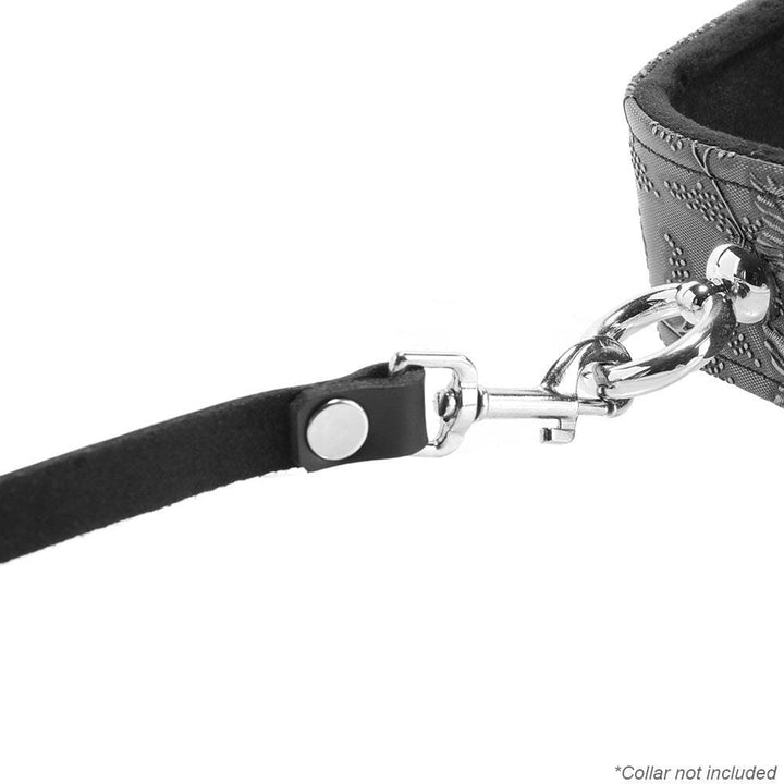 Spartacus 4' Leather Leash