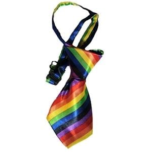 Gay Pride Products Pet Pride Neck Tie - Wicked Wanda's Inc.