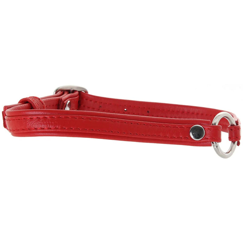 XR Brands Master Series Fiery Pet Slim Choker in Red