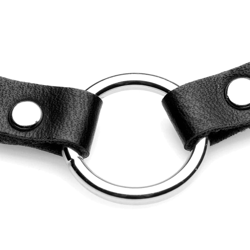 XR Brands Master Series Lush Pet Silver Ring Slim choker