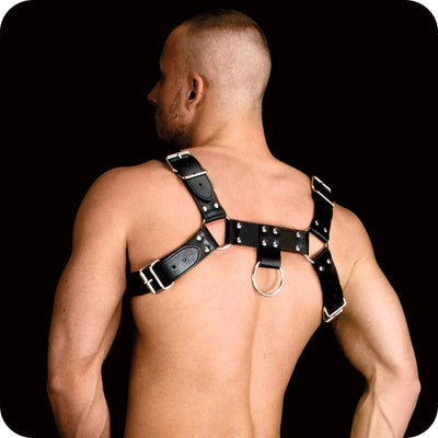 Shots Costas Solid Structure 2 Upper Body Harness